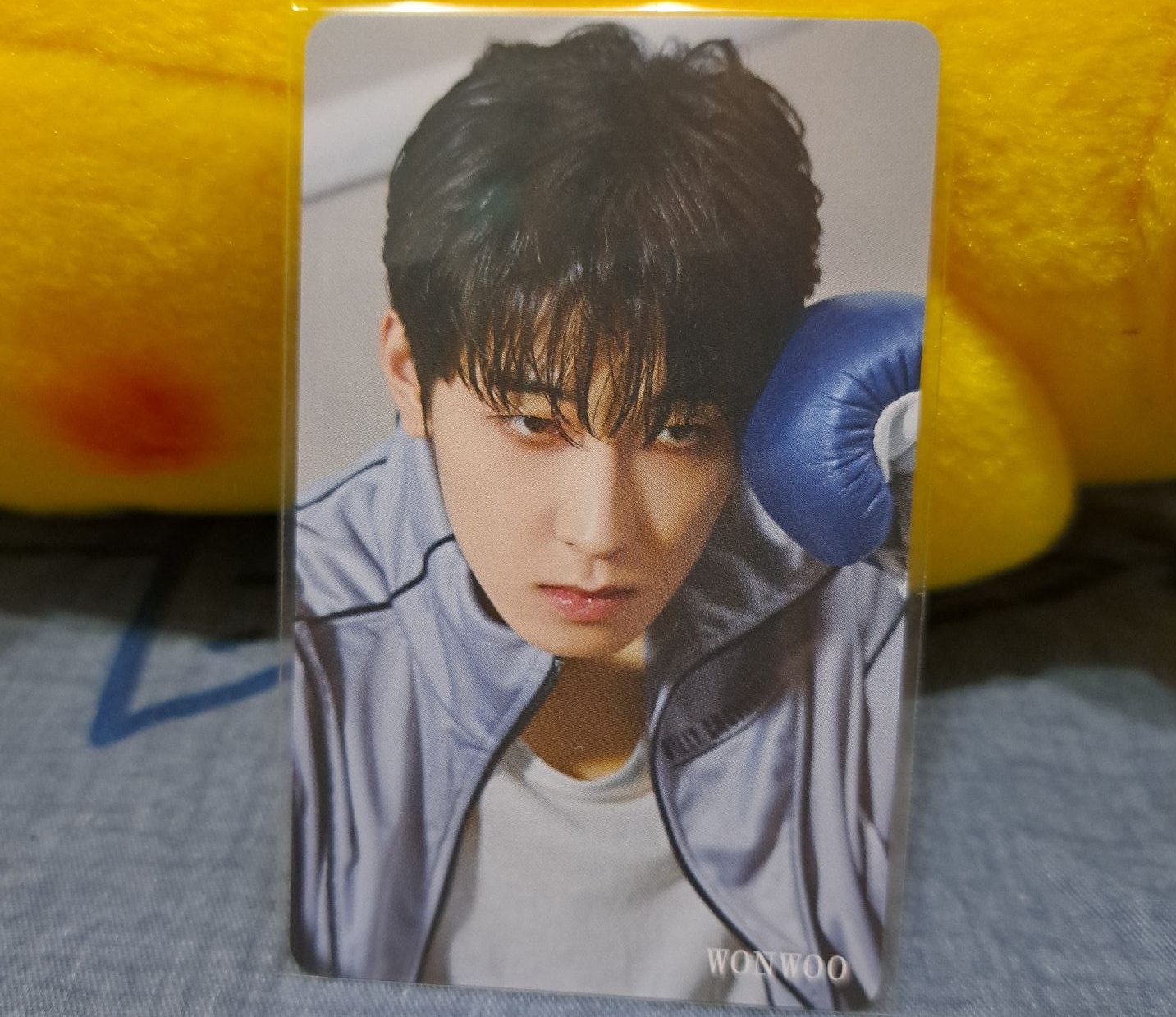 SEVENTEEN 迷十HMV特典 圓佑