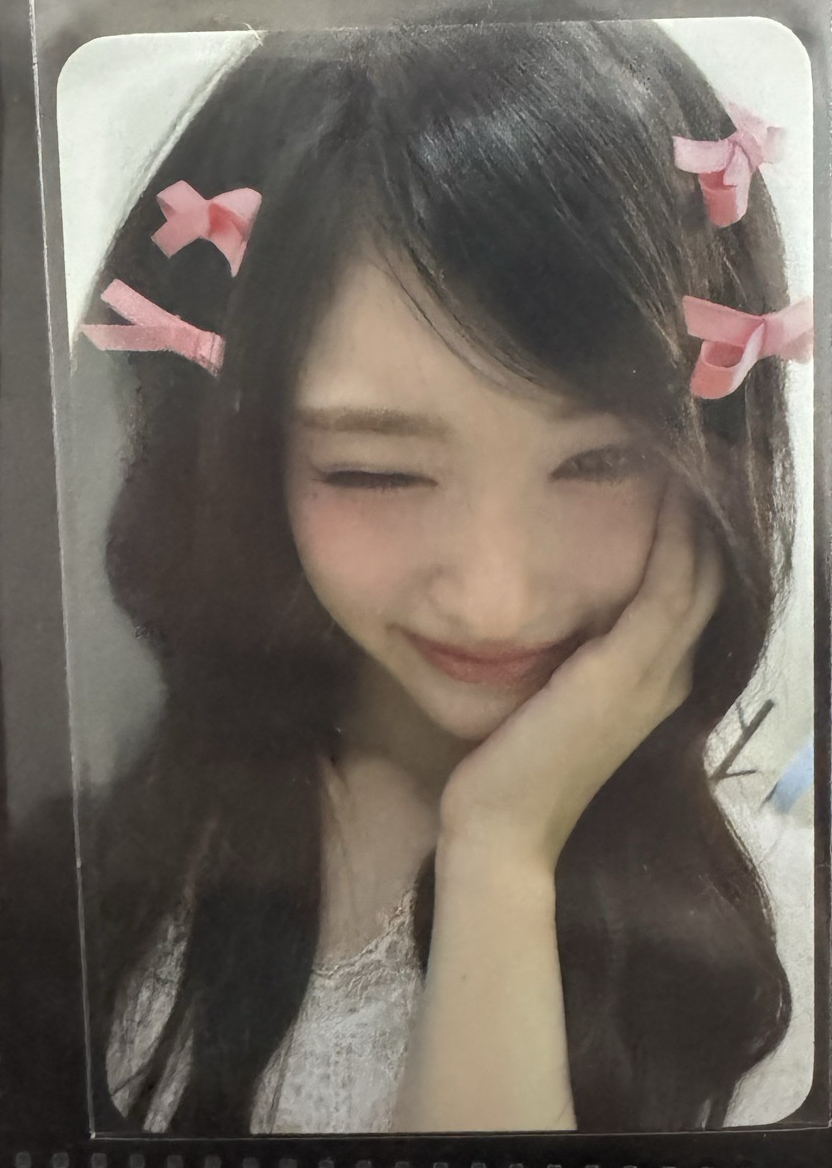 蝴蝶結瑞