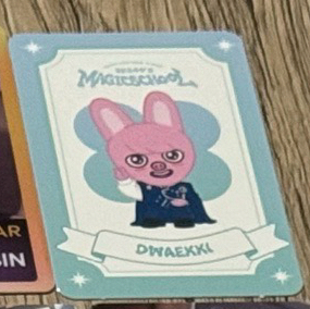 4th FM 釜山快閃入場卡 彬