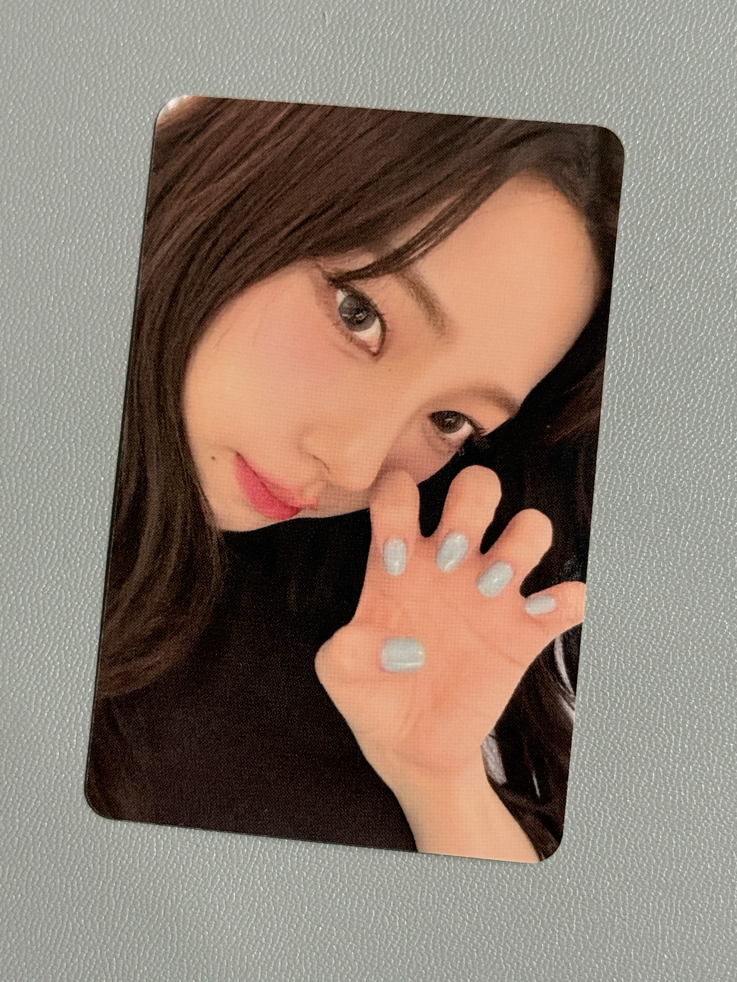 正規一SR 1.0中背貓爪柚