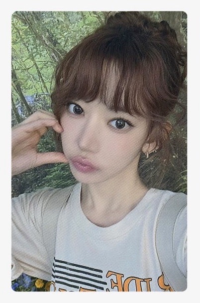 非現｜四期會員禮櫻