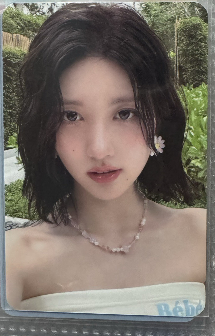 夏寫秋