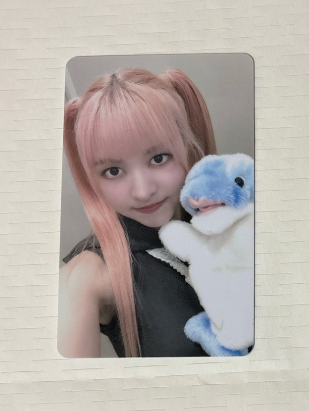 lmlt  手繪手燈（多帶✨100）