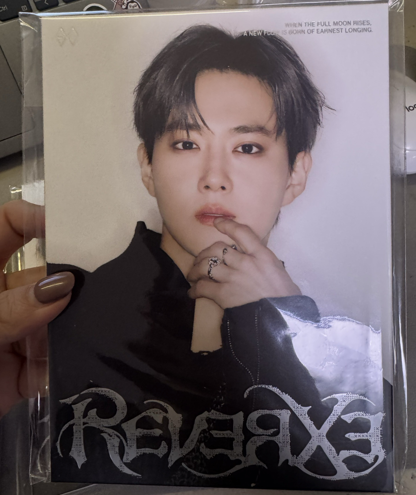 SUHO ver