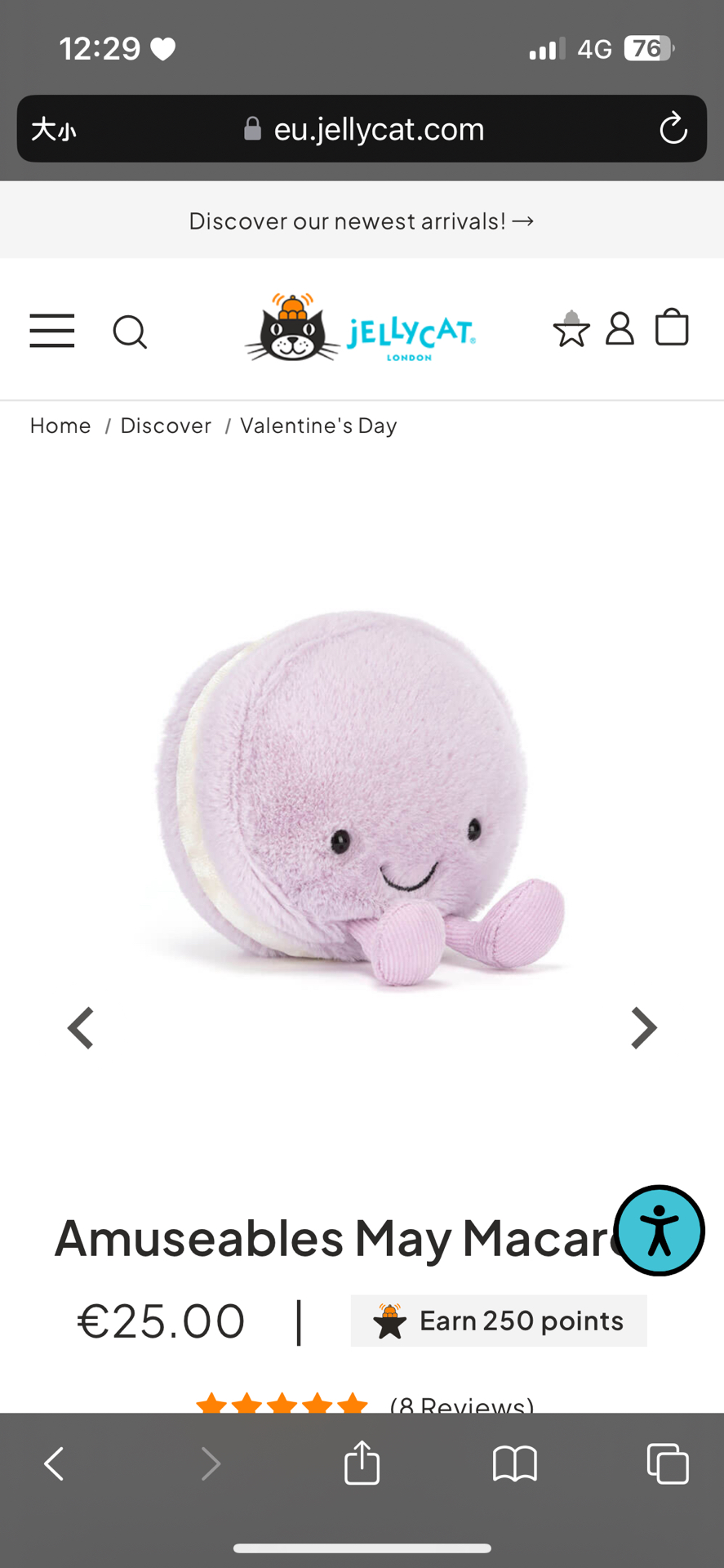 🤍現貨1 紫色馬卡龍