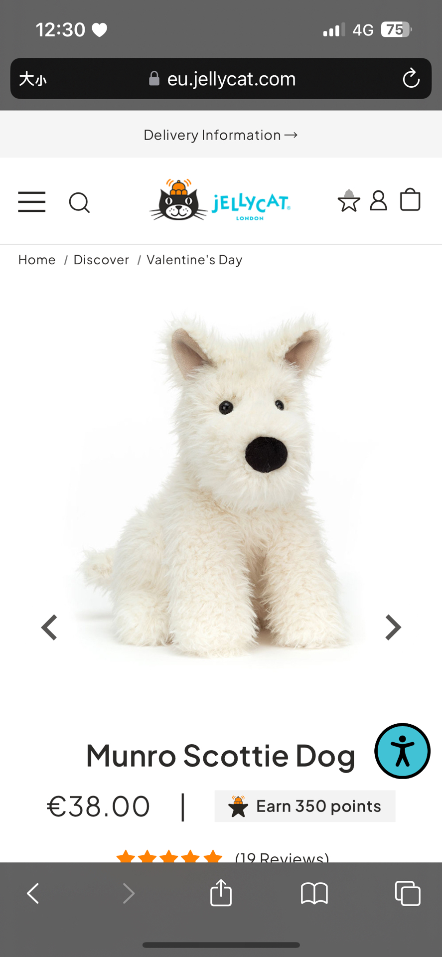 🤍現貨1 西高地