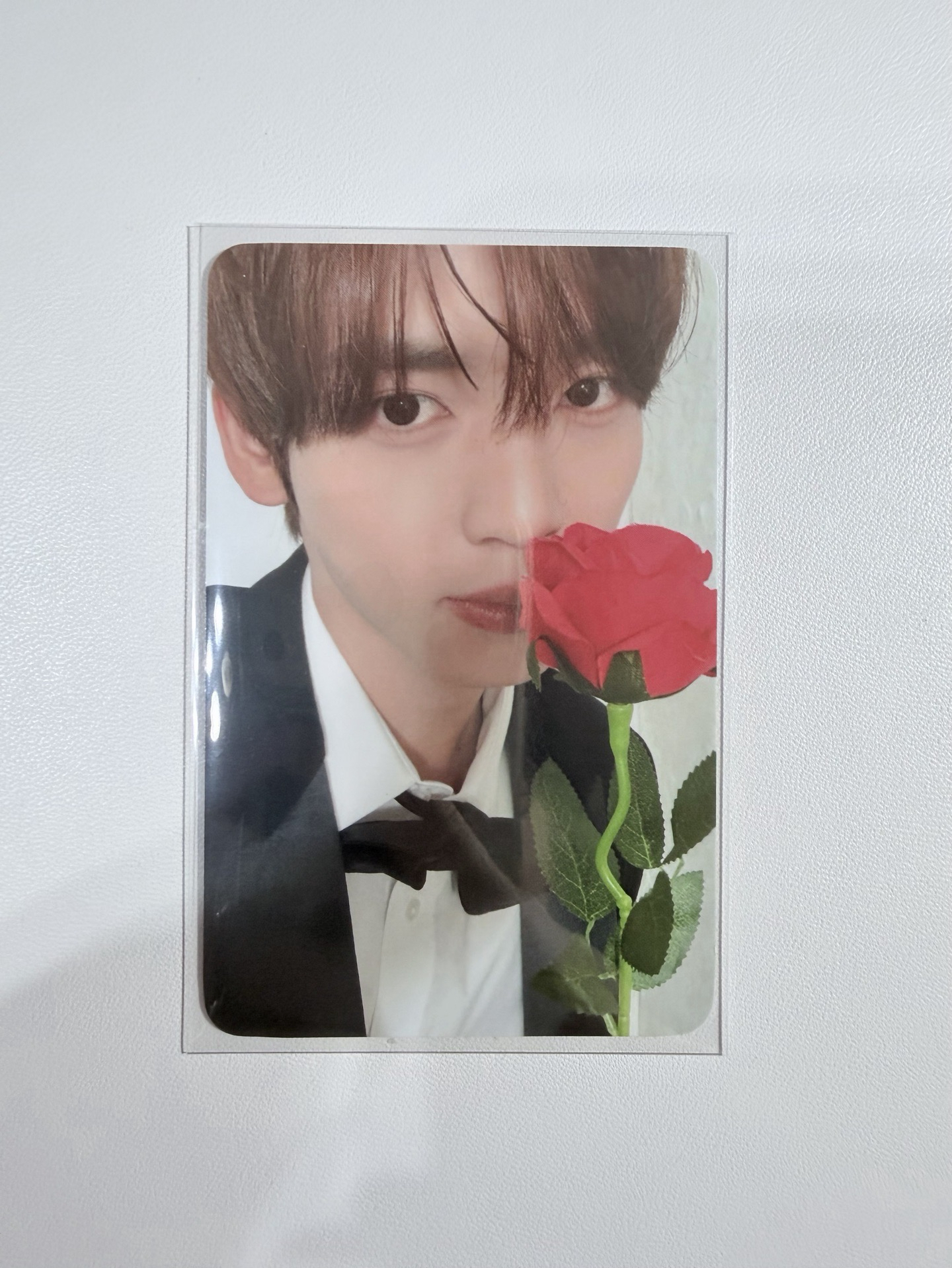 首爾安可D3粽卡 辰（贈辰紙花