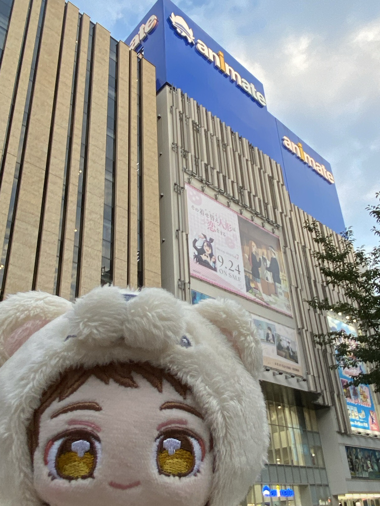 偶像夢幻祭專區