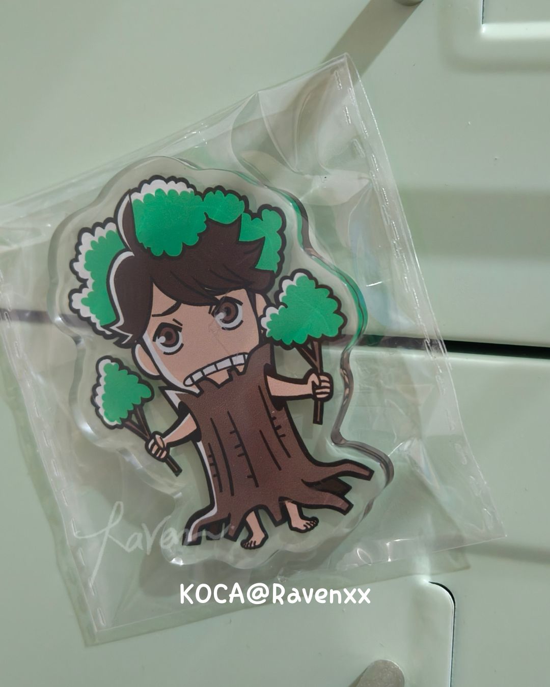 裝樹的一顆及川大王