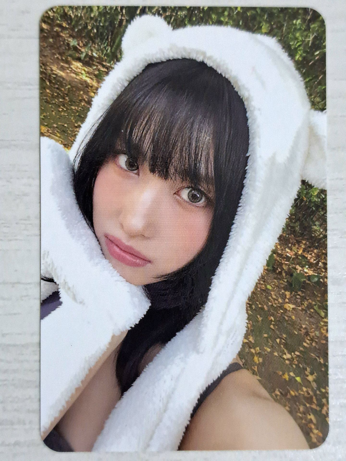 迷13 專輯卡 熊帽桃