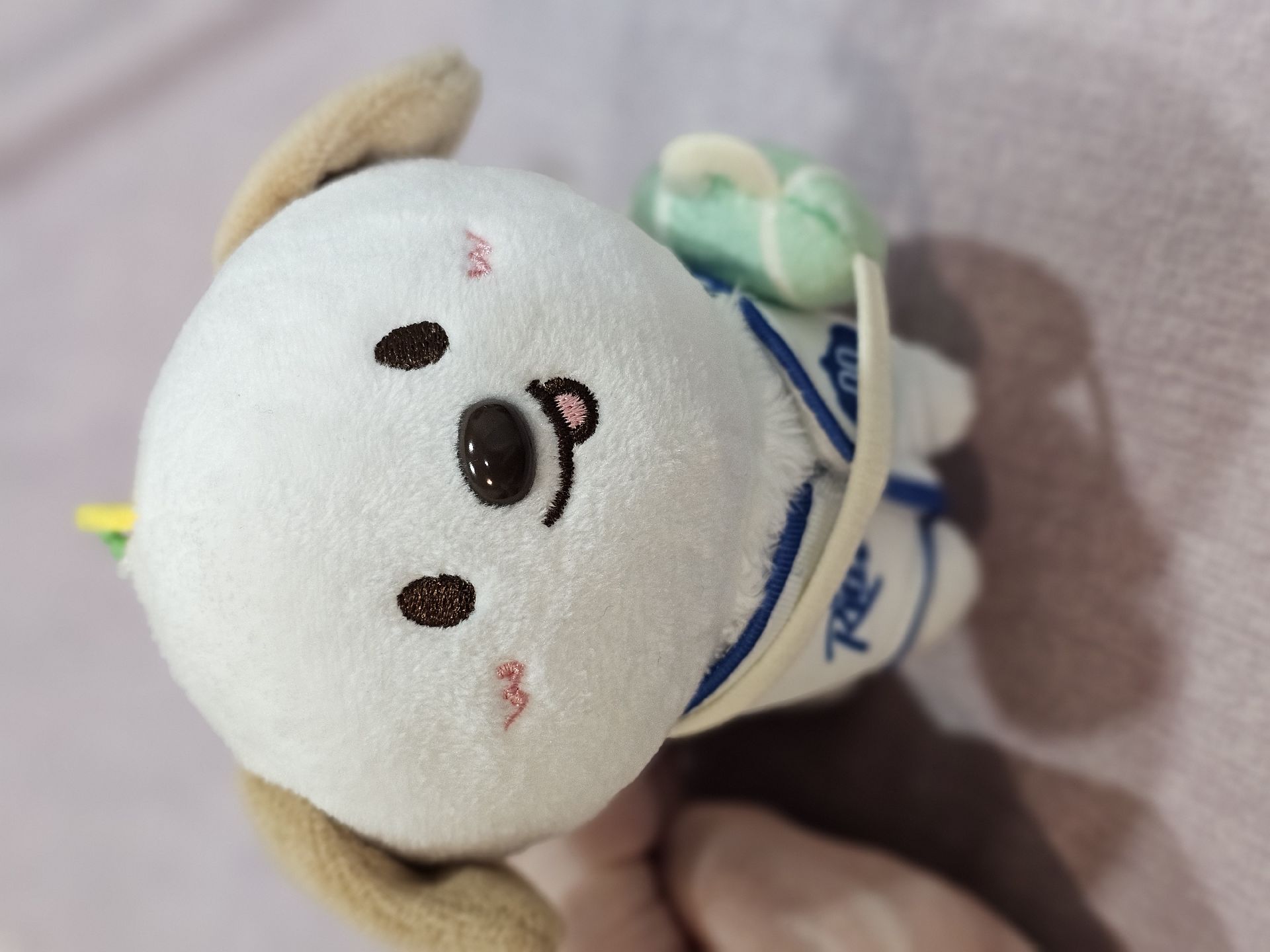 RIIZE 10cm 磁吸娃 ANTON 狗龍