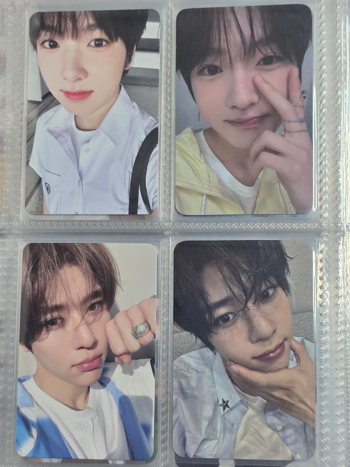 願小盤 sakuya sion