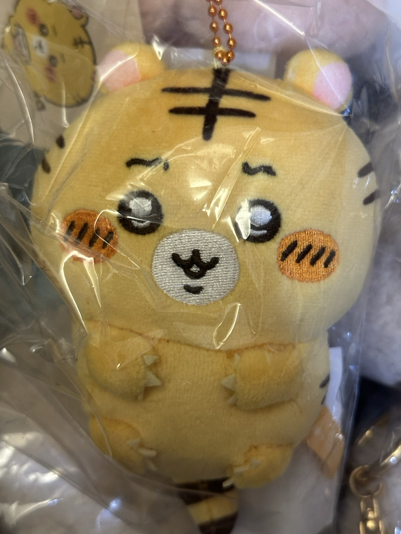 小老虎