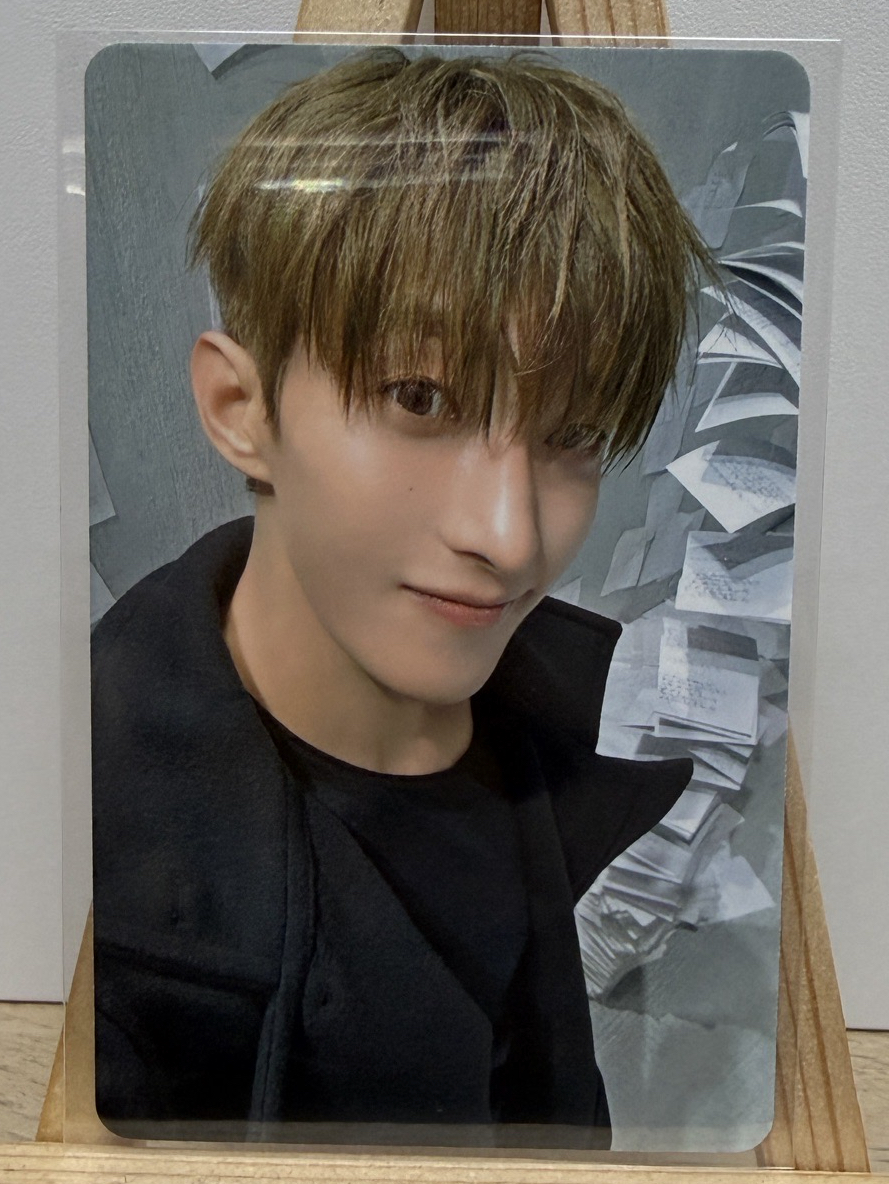 Wvs特典