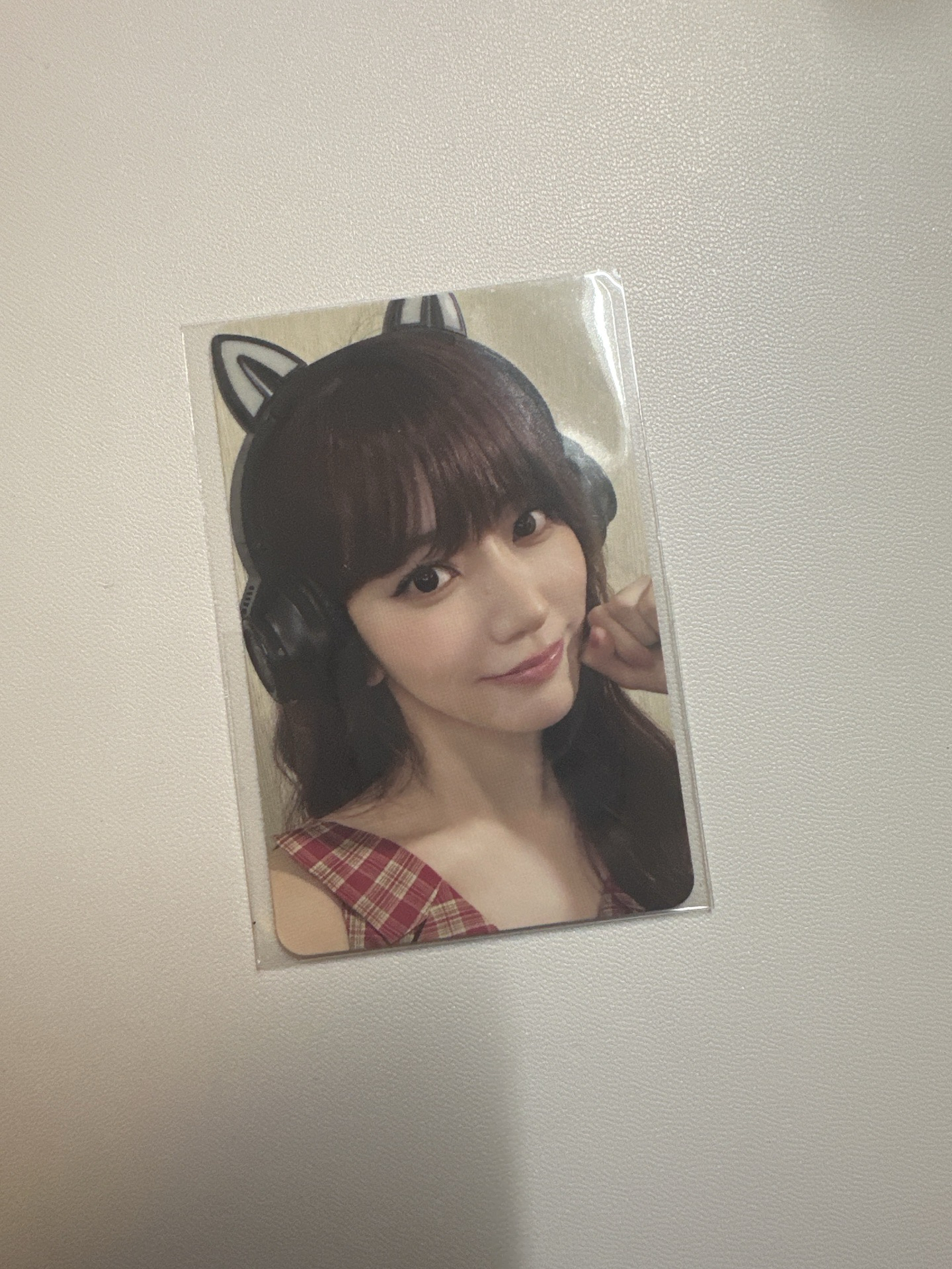 LE SSERAFIM hello82耳機櫻 貓耳櫻 櫻花