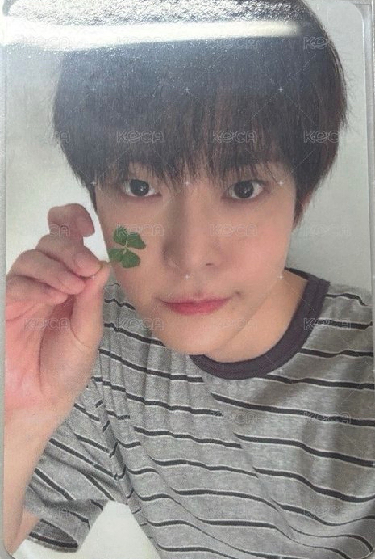 nct doyoung im特典卡