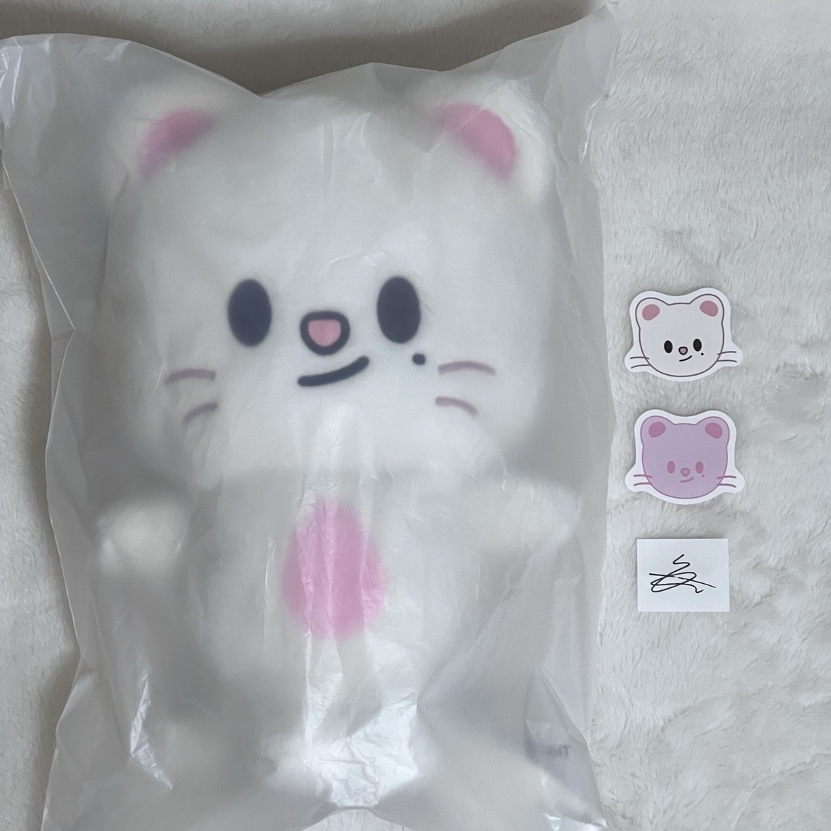 現貨速寄 Stray Kids 6th FM 大娃 後背包（含卡）+第一週第二週印簽紙花