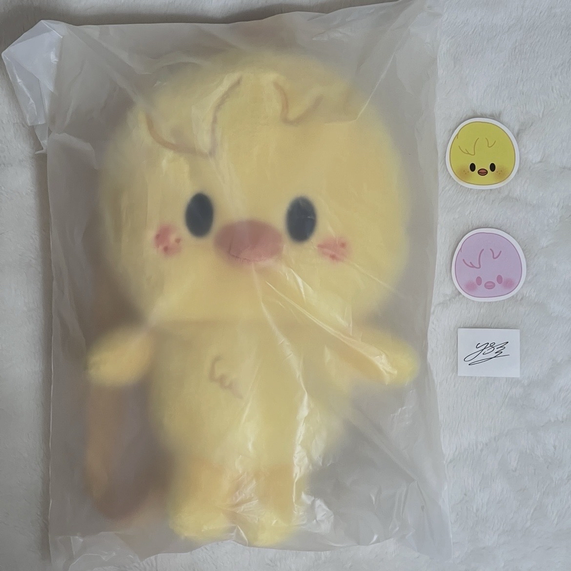 現貨速寄 Stray Kids 6th FM 大娃 後背包（含卡）+第一週第二週印簽紙花