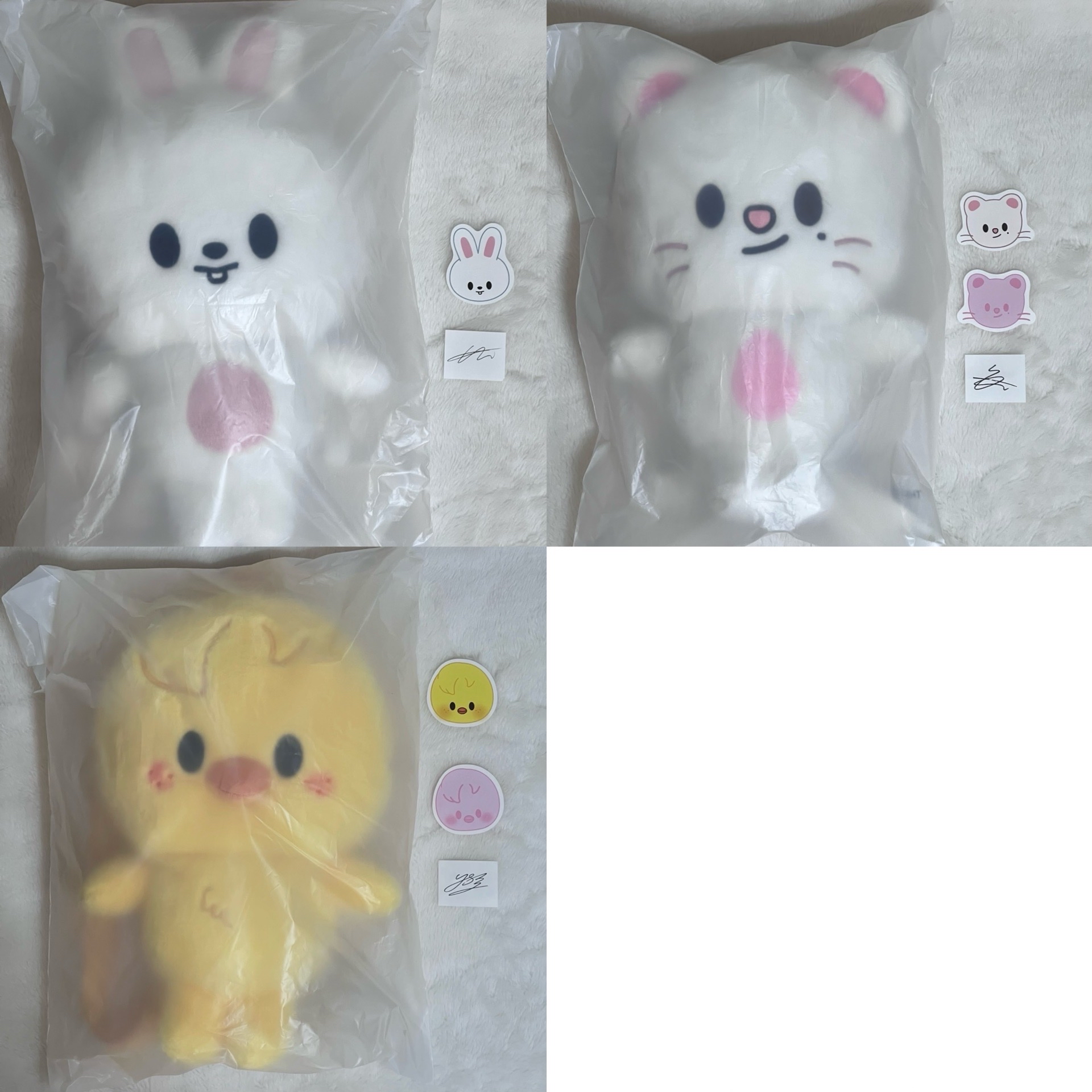 現貨速寄 Stray Kids 6th FM 大娃 後背包（含卡）+第一週第二週印簽紙花