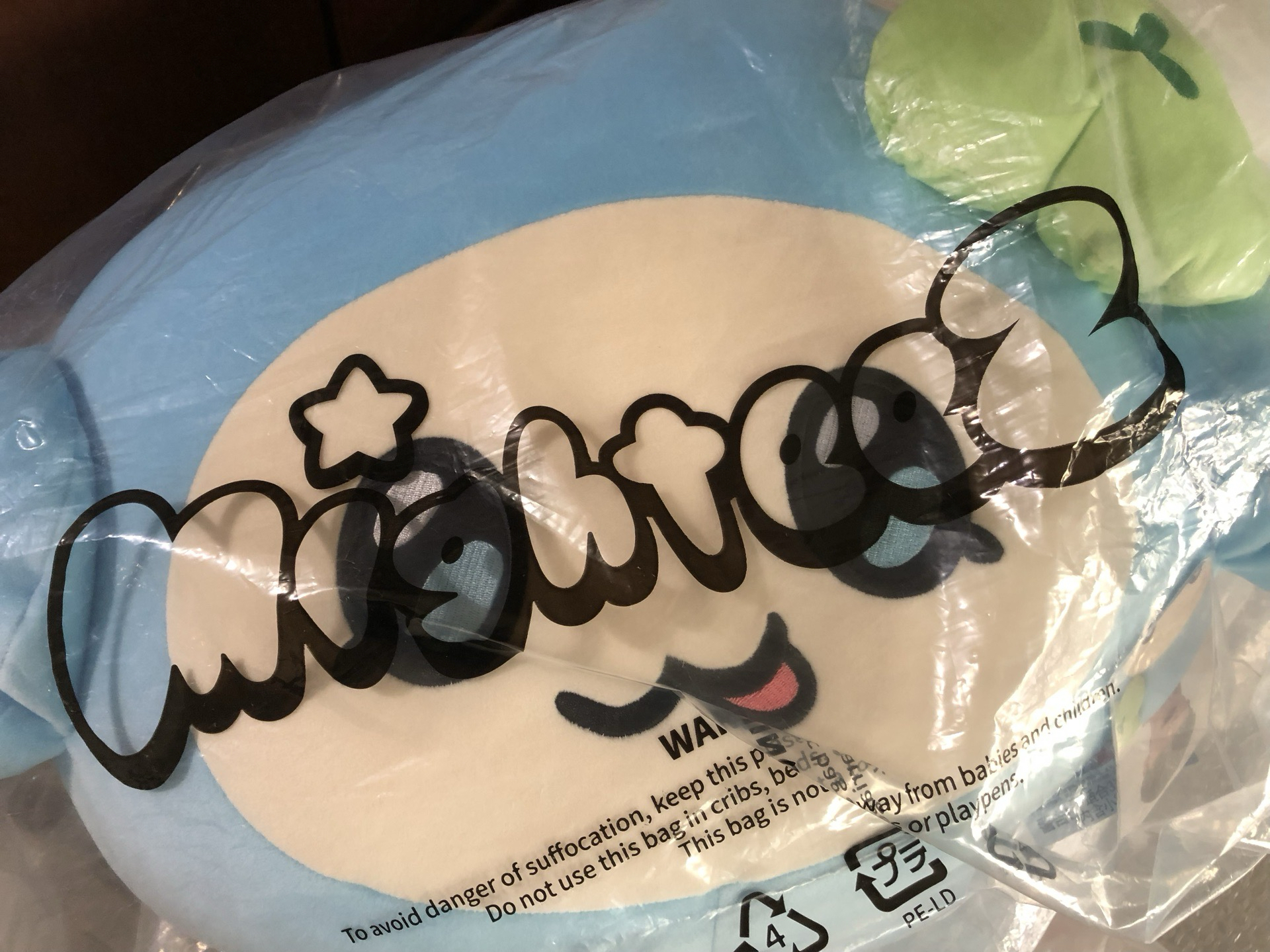 （預購）潤 抱枕