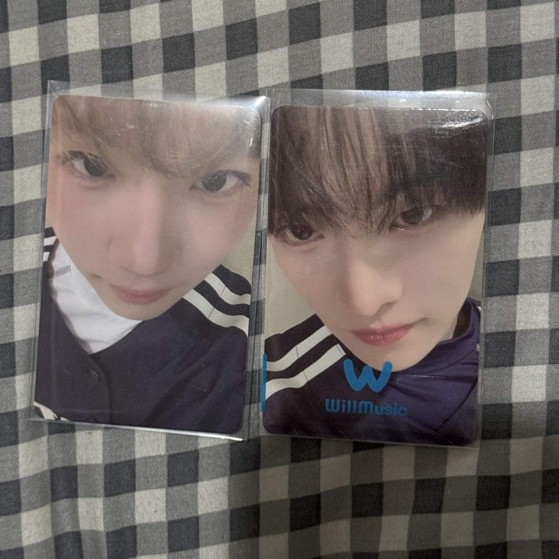 全珉稶&Kenshin 微樂客中文卡背卡🐱🐱