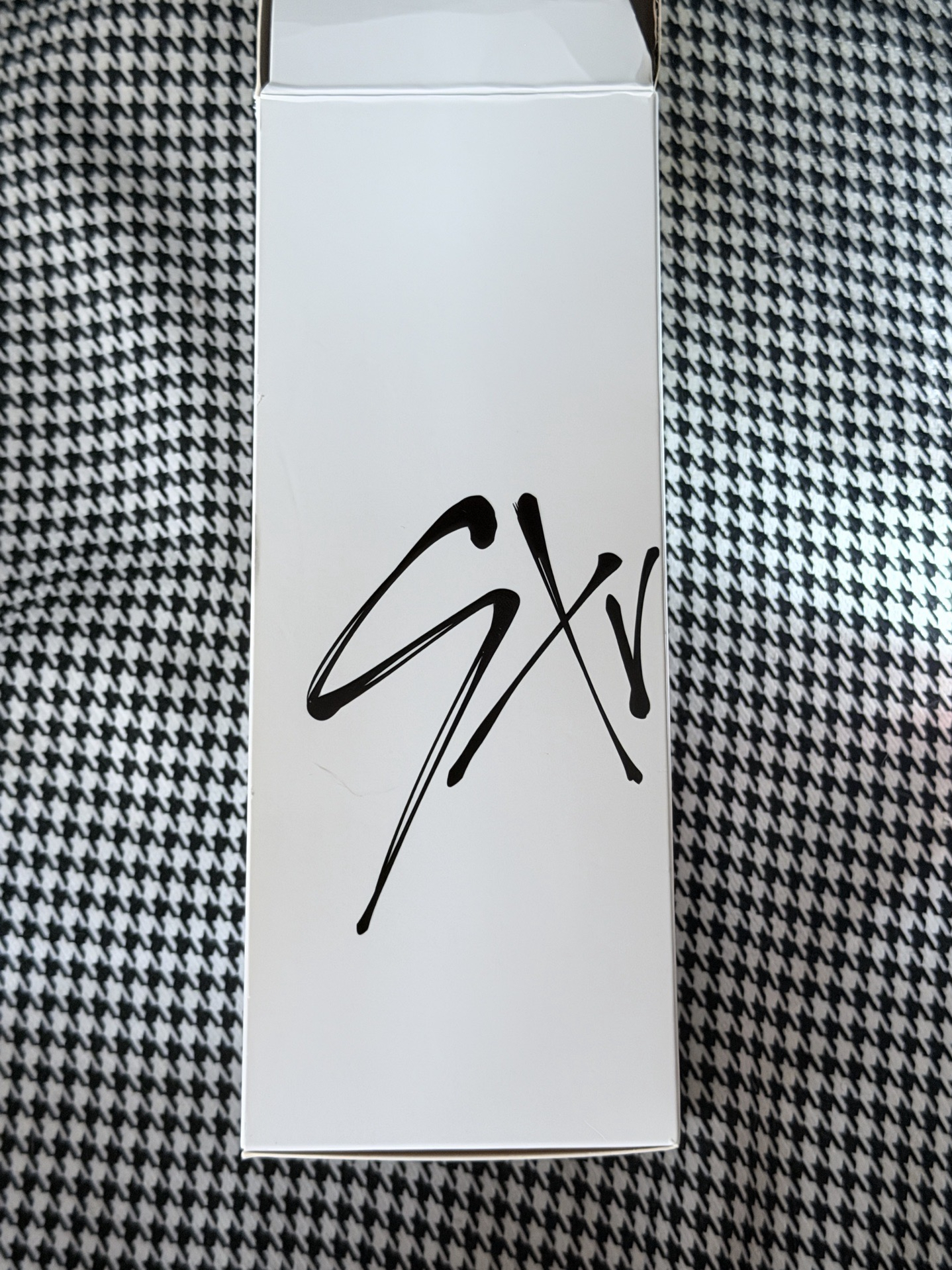 （現貨 一日內出貨）stray kids 一代手燈