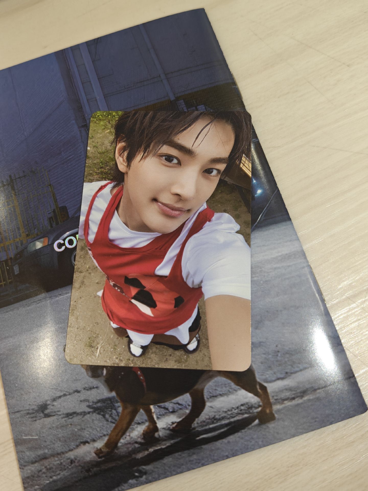 迷一 wvs 安乾鎬專輯卡 電子專 A ver.