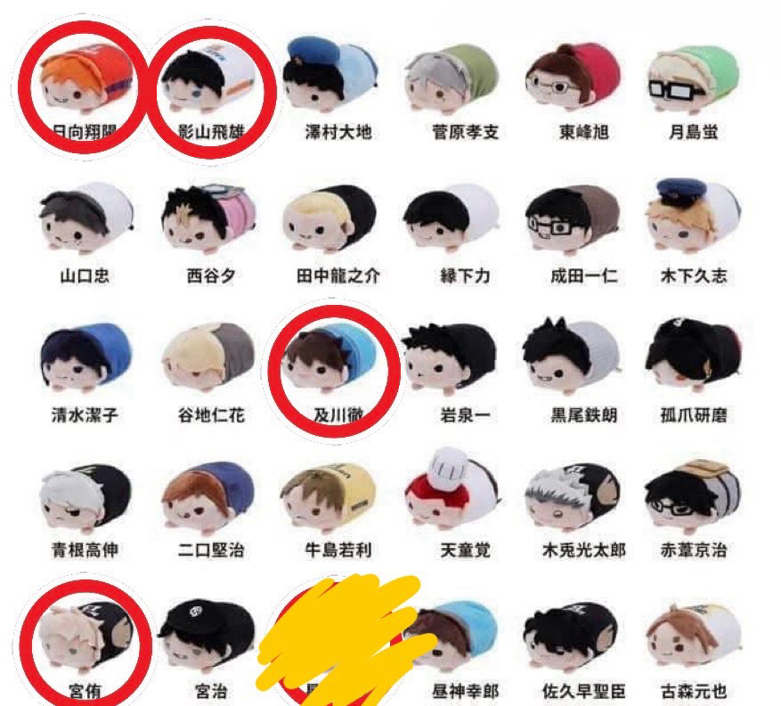 【排球少年】十週年趴娃