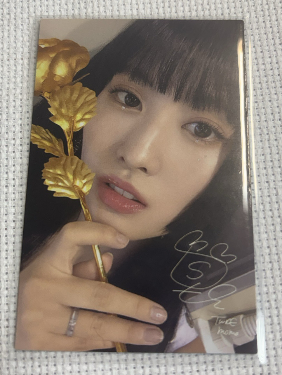 💛momo1
