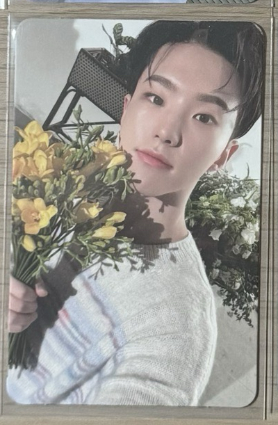 迷八 捧花