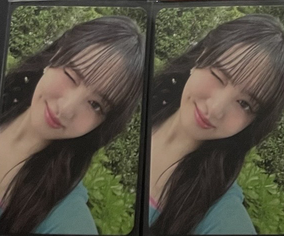 夏日寫真固配栗