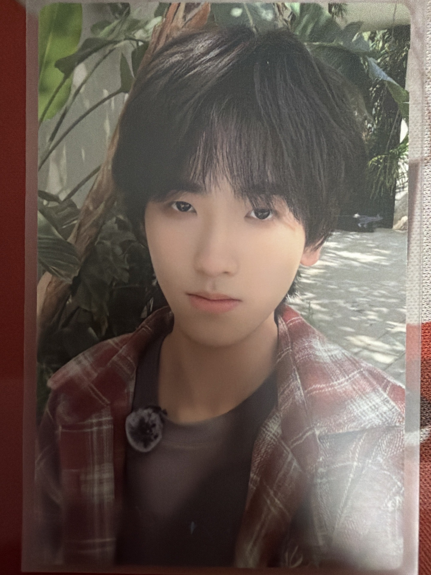 左奇函榮耀卡包SR卡