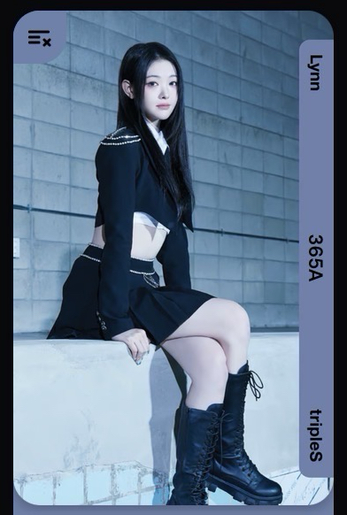 Lynn AA365
