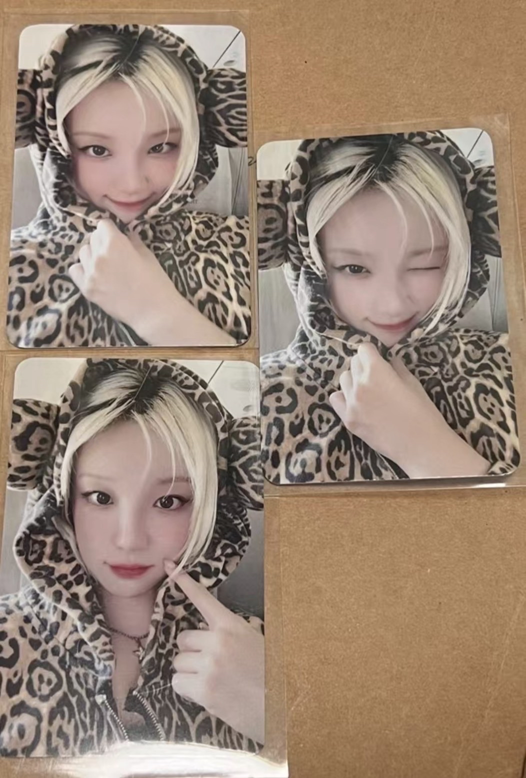 琦lo2 楠藝斑點狗