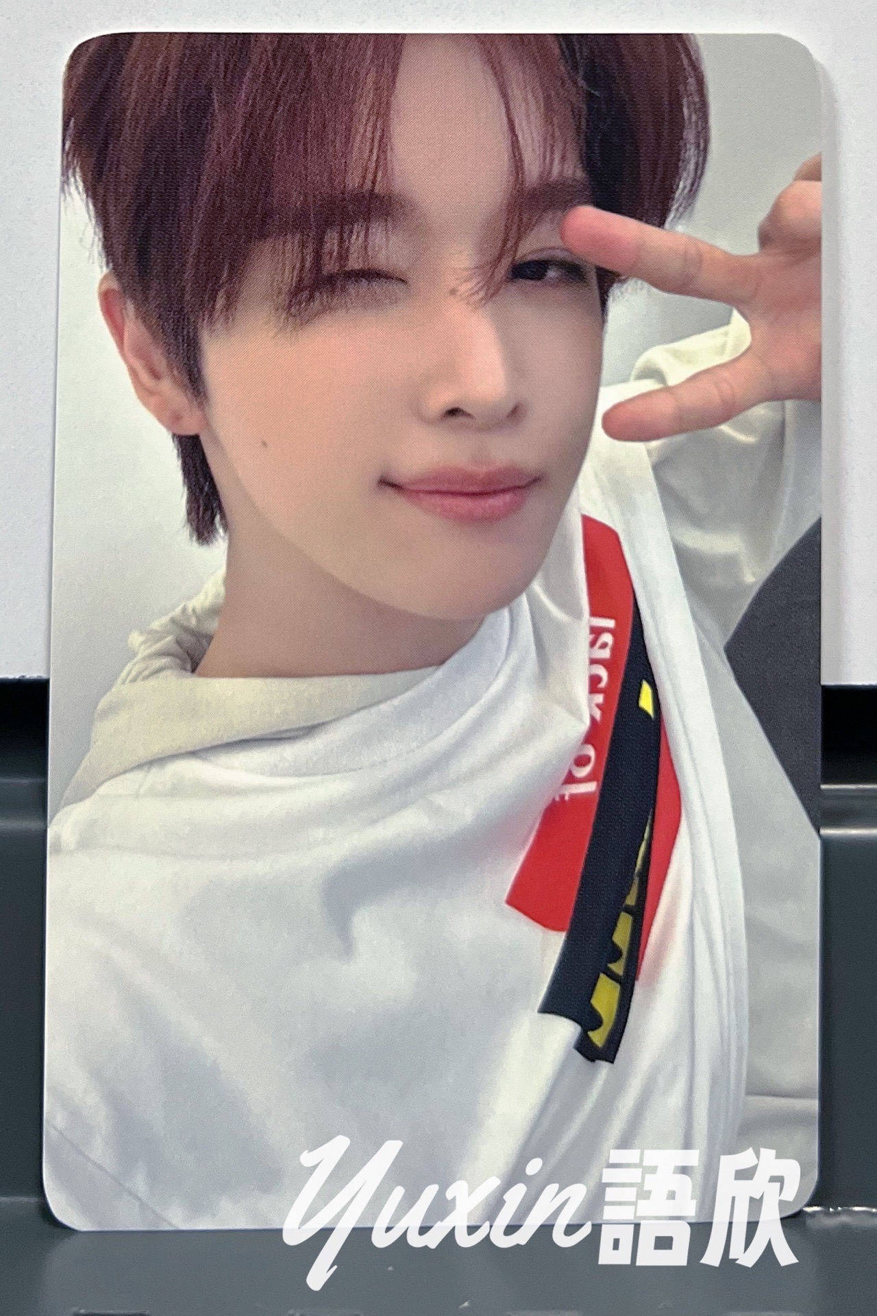 成燦A版C款