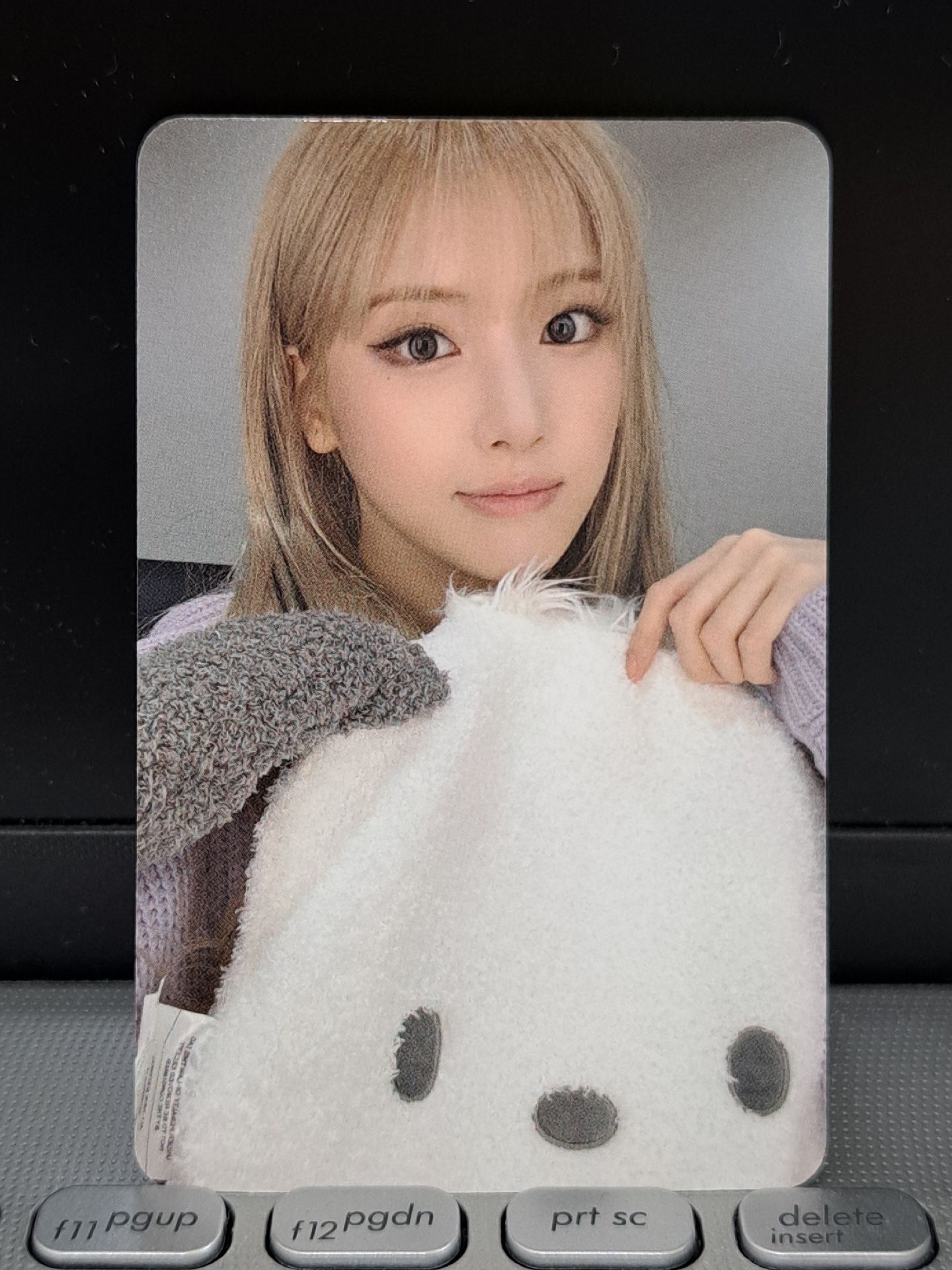 sr 動物朋友友 呆啾卜