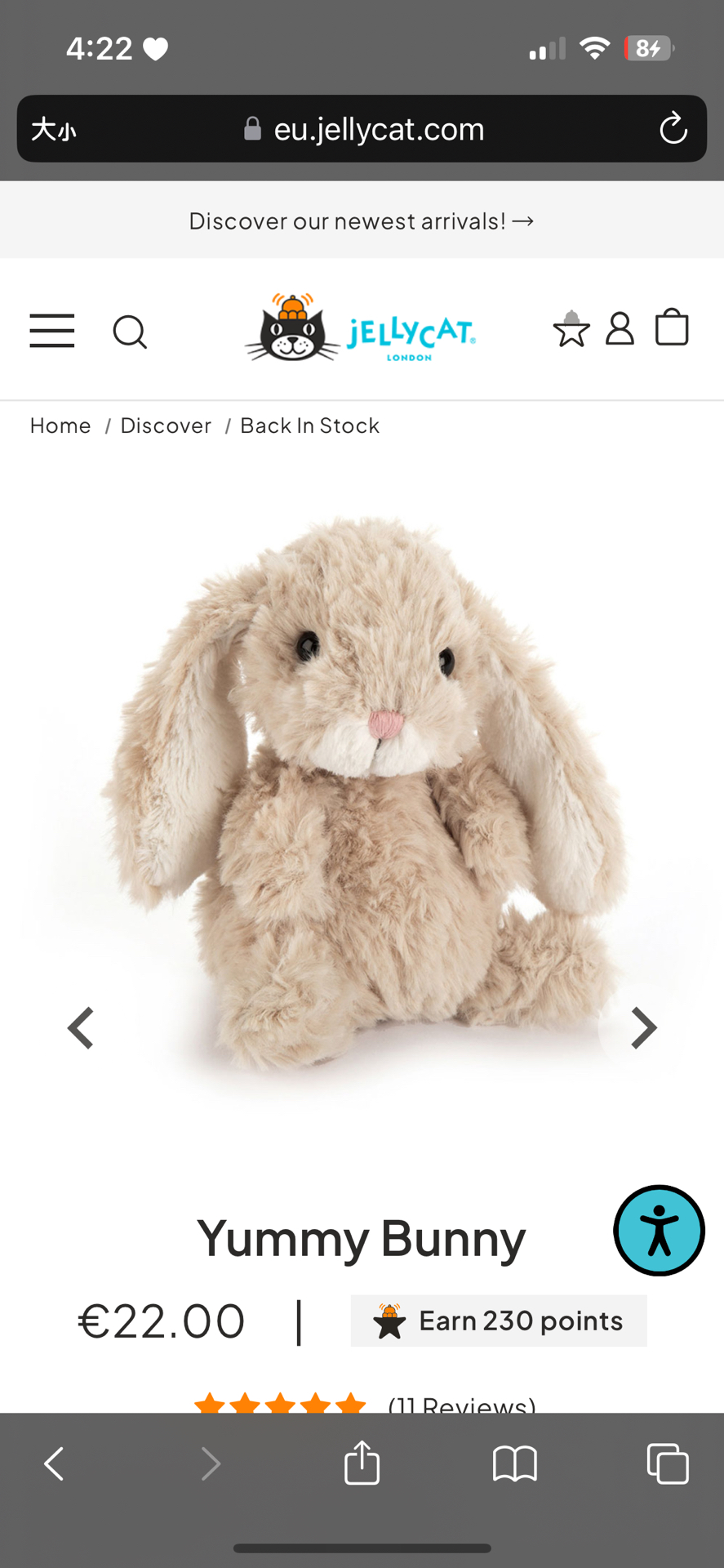 🤍預購 美味兔兔