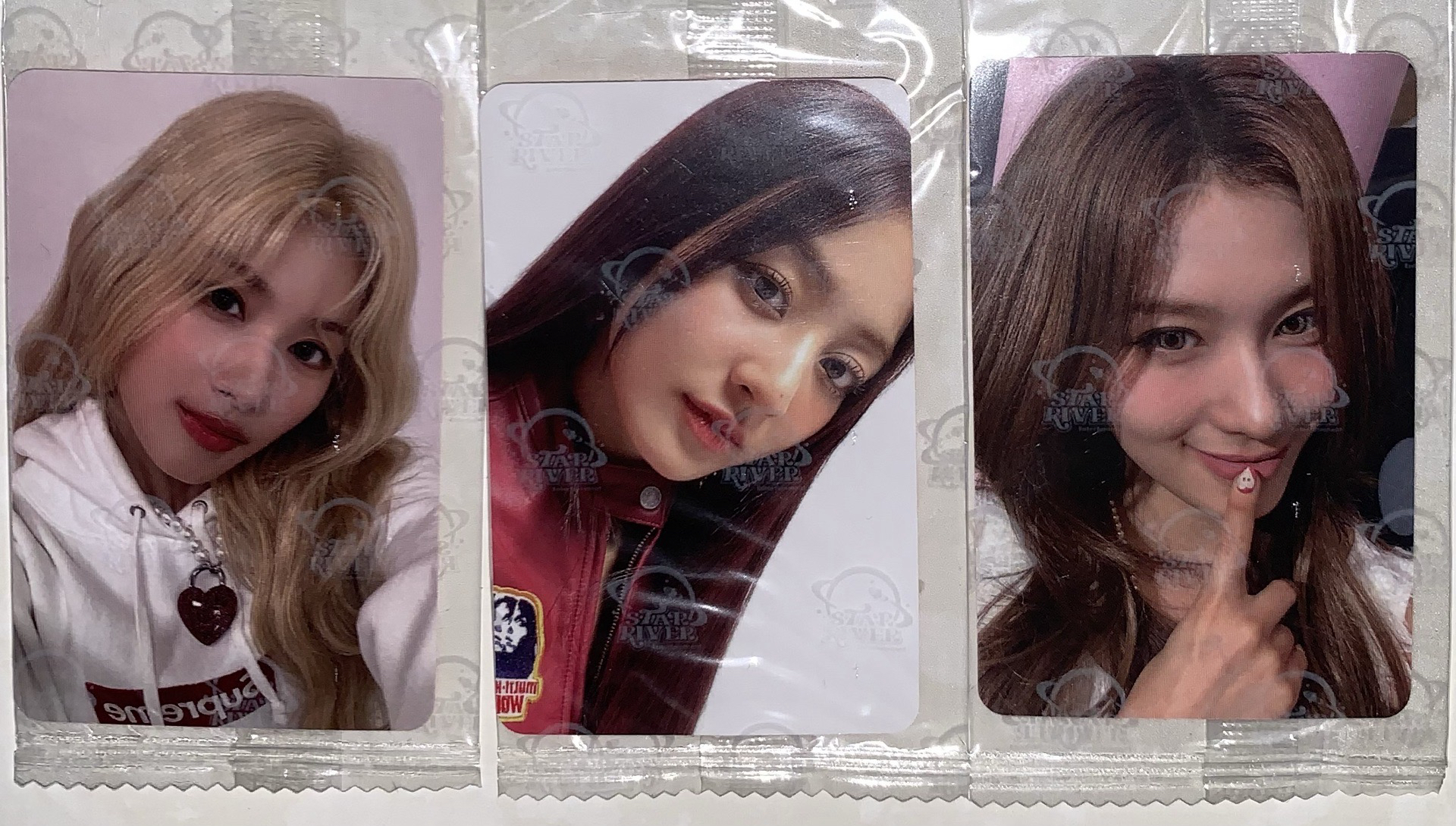 效死 你以為紗的了我嗎