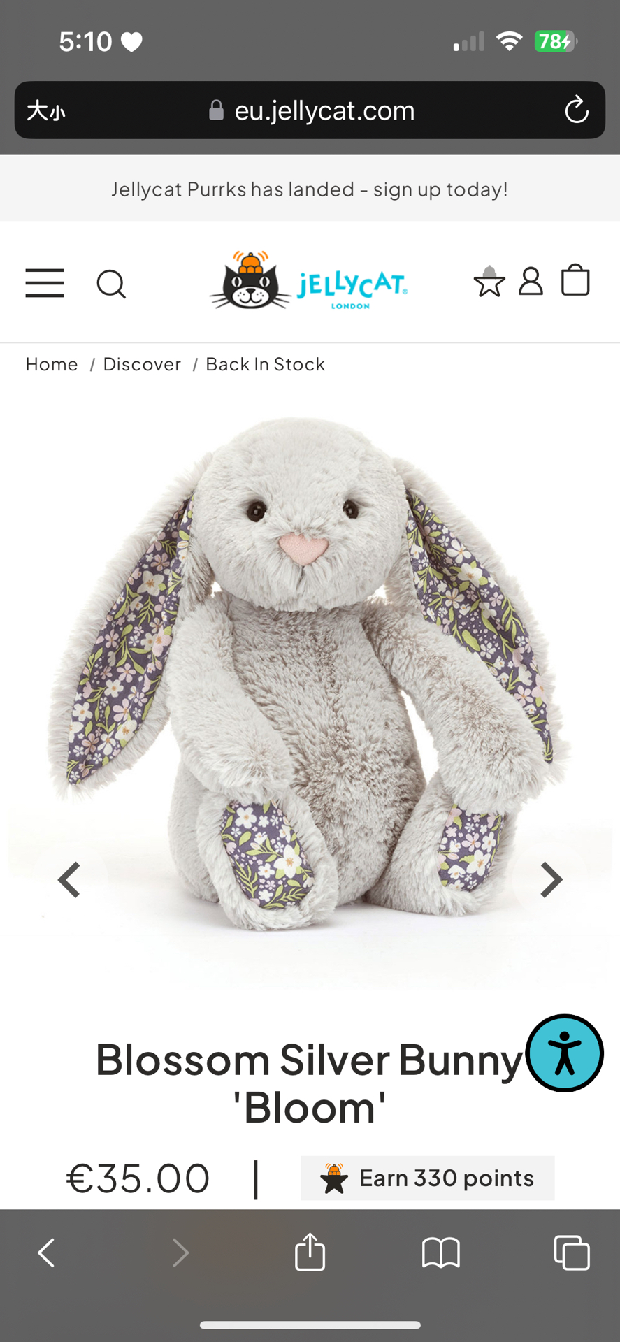 🤍預購 銀色碎花兔兔