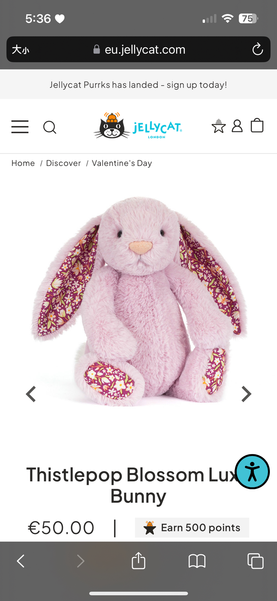 🤍預購 紫色碎花兔兔