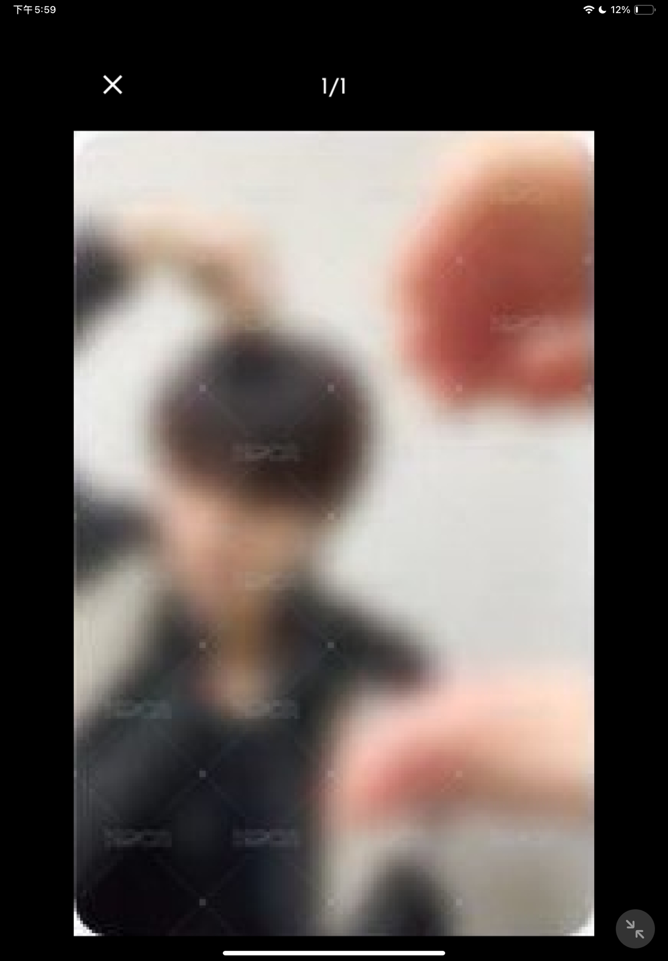 Mr五律 含專（非簽售專）