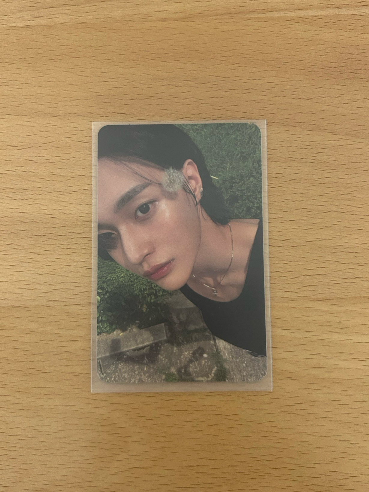 RIIZING EP 專輯卡 PB版 蒲公英彬