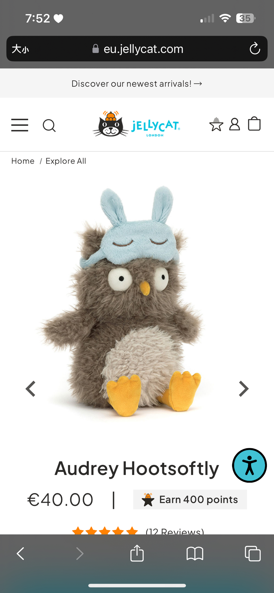 🤍預購 眼罩貓頭鷹