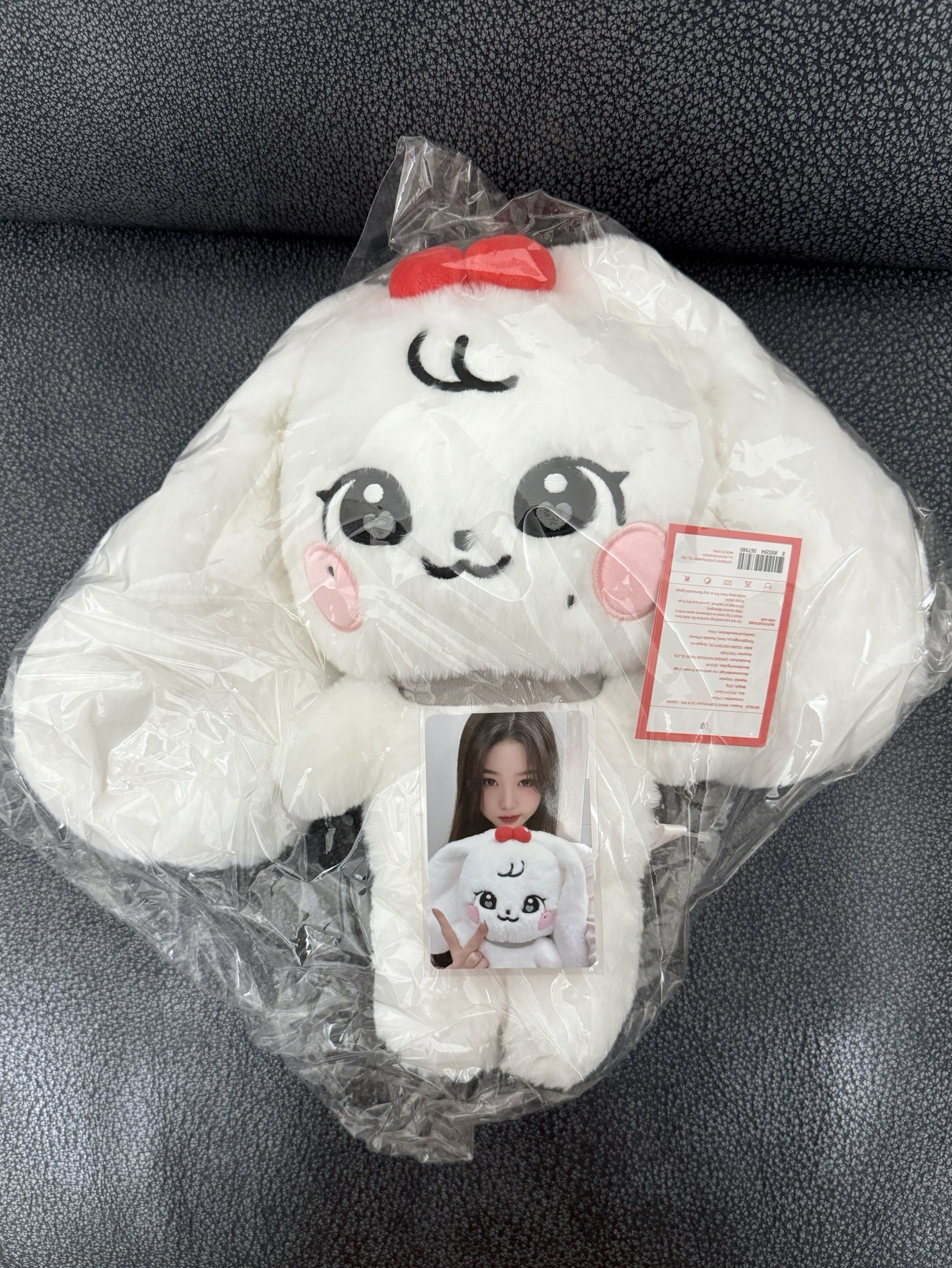 IVE MINIVE SCHOOL 員30公分大娃(含卡) 全新未拆