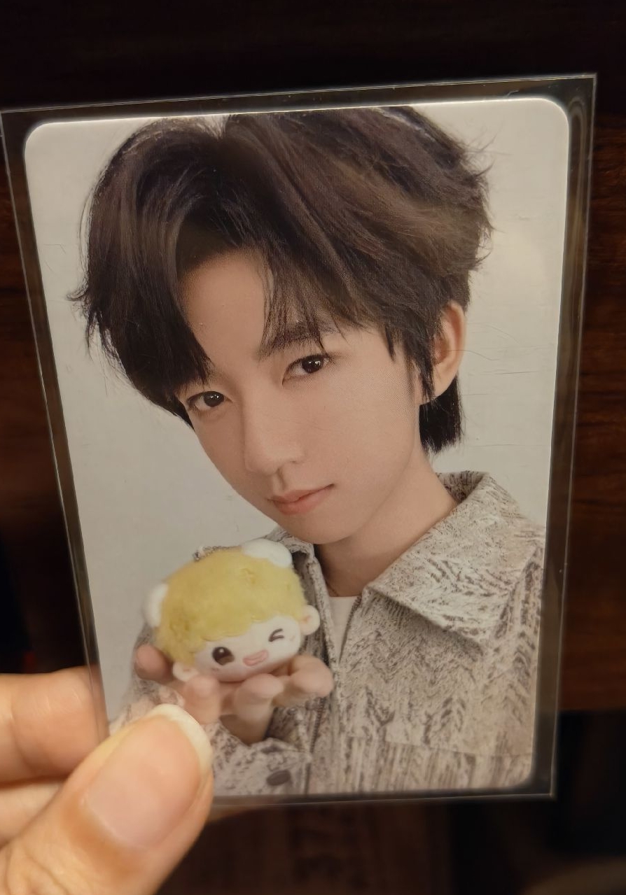 賀峻霖 三專團團卡單人卡