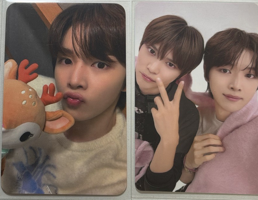 🖤燦愛寶小熊卡 含圖鑑