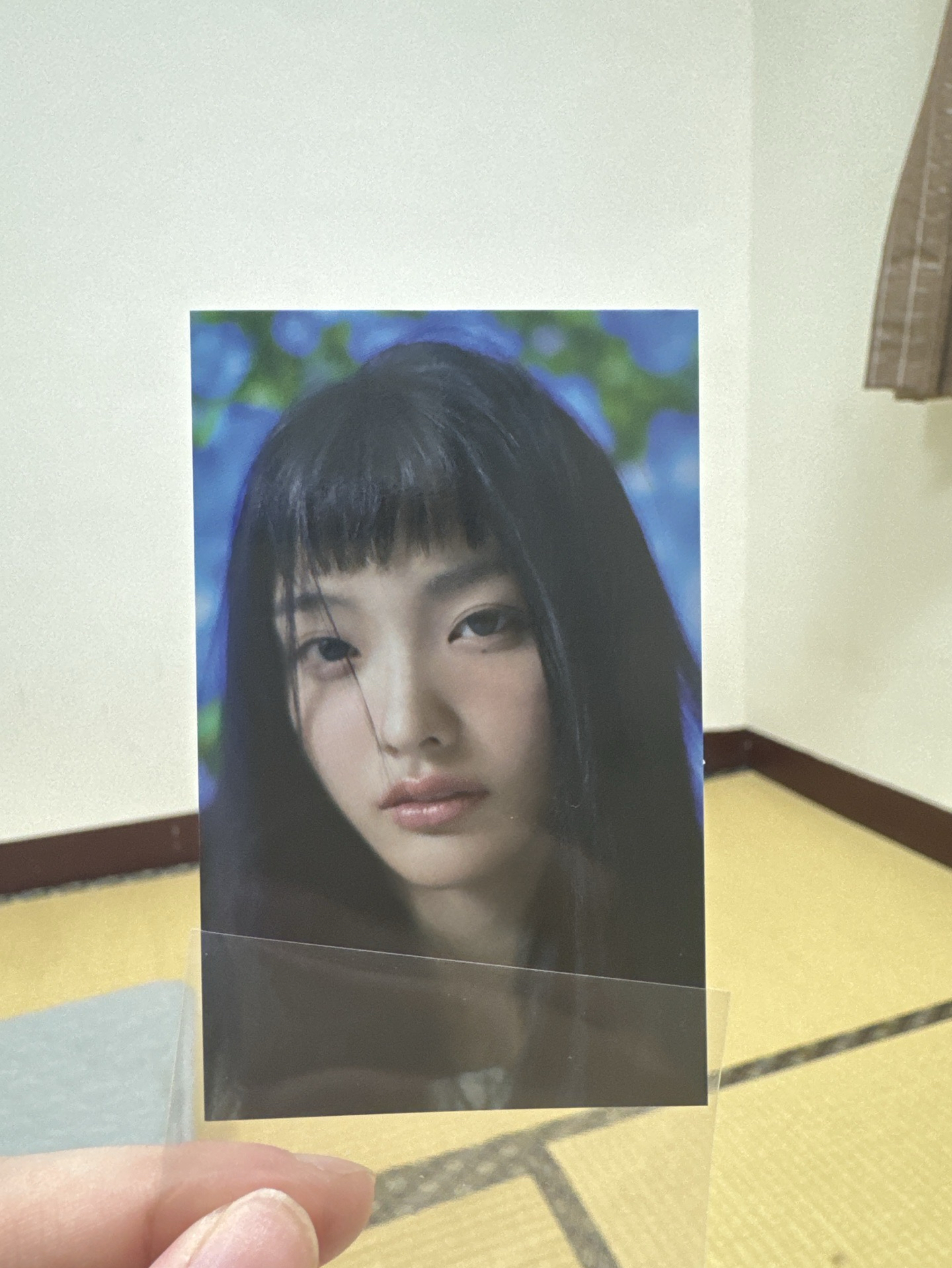 色調超級好的一張