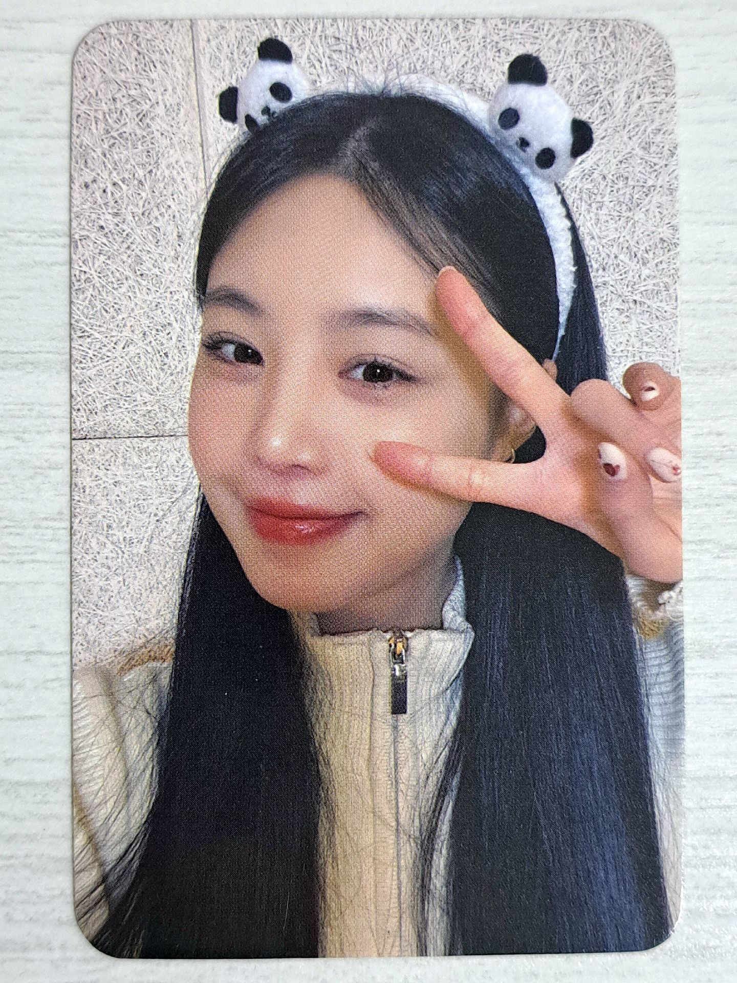 AGASSY sr 1.0 特典卡 熊貓珍 小蝴蝶飛回來了