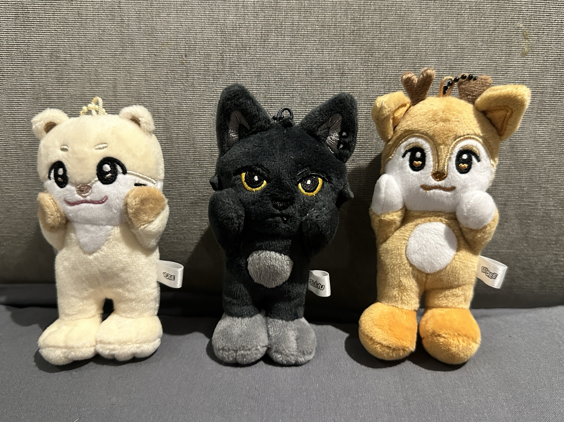 NEXZ 迷三 電子專娃