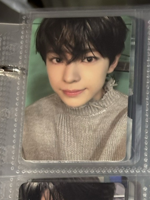 yushi steady粉版隨機卡